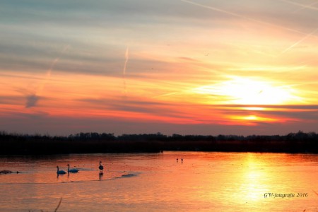natuurgebied de Wieden, Gasthuisdijk.
